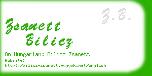 zsanett bilicz business card
